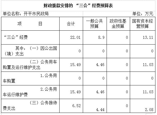 2020年開平市民政局三公經(jīng)費預算公開.jpg