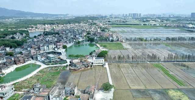 從長沙街道西溪村上空俯瞰，遠處青山疊翠、高樓聳立，近處屋舍儼然，池塘星羅棋布，農(nóng)田成方連片