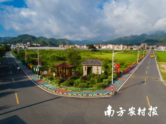 汕尾陸河縣布金村